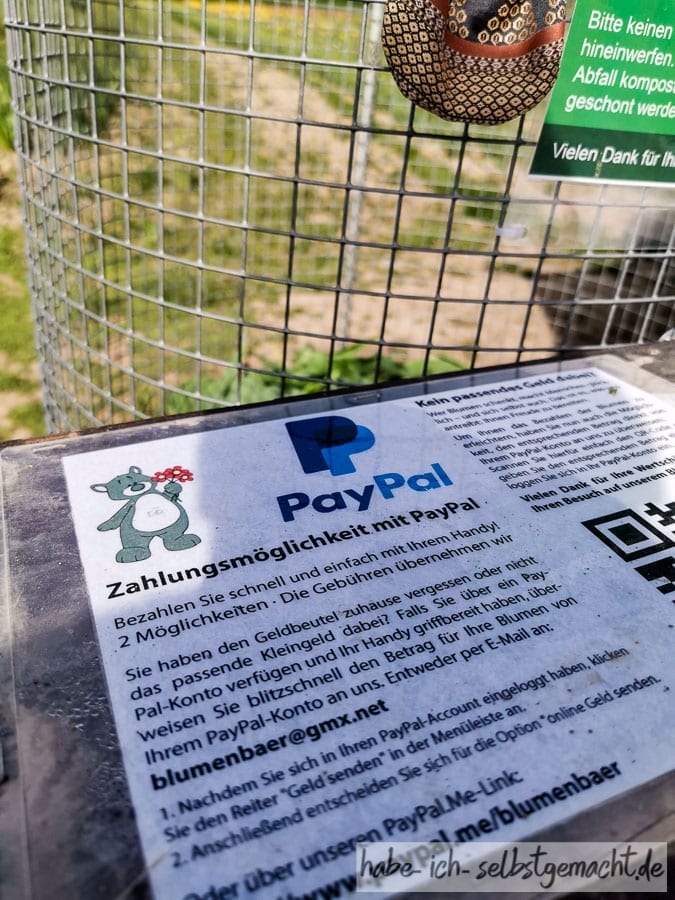 Moderner Breisgau - Paypal auf dem Blumenfeld