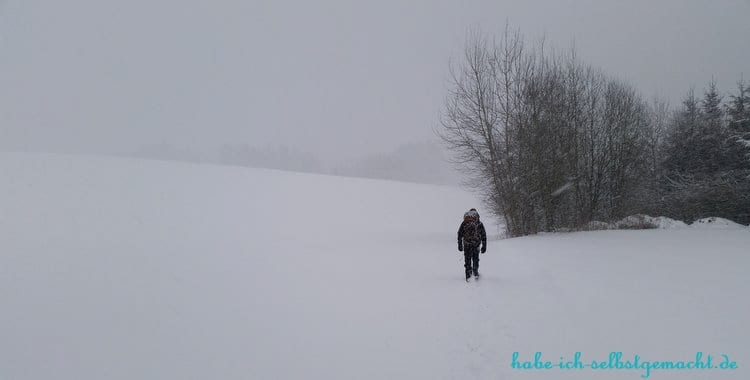 Winterwandern Goldsteig - Wanderweg unter Schnee verschwunden