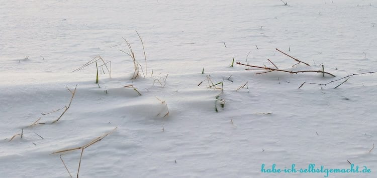 Winterwandern Goldsteig - Windspuren im Schnee