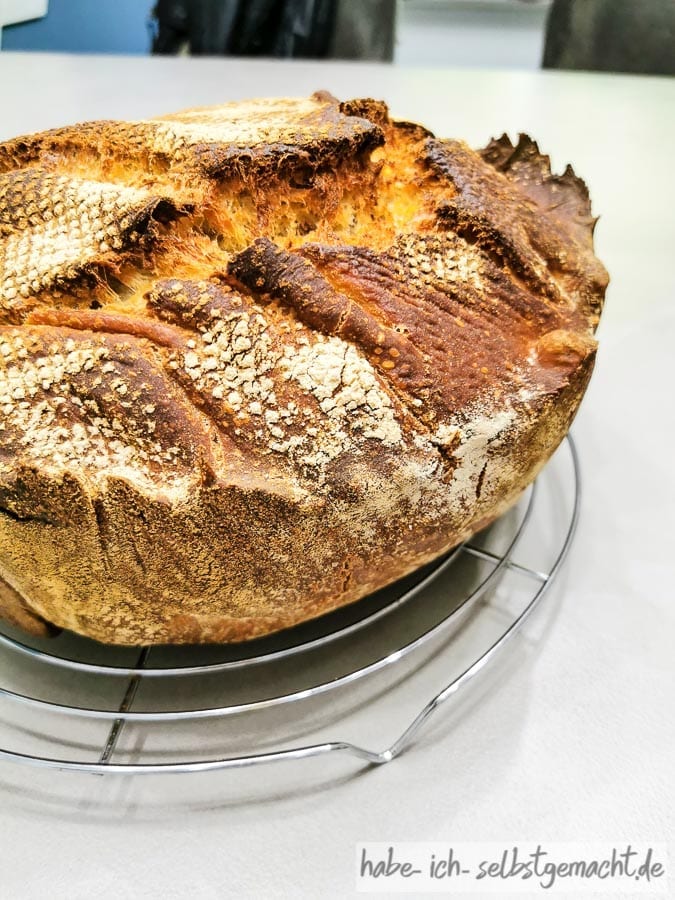 Blogger Missgeschicke - Brot am Dutch Oven hängen geblieben