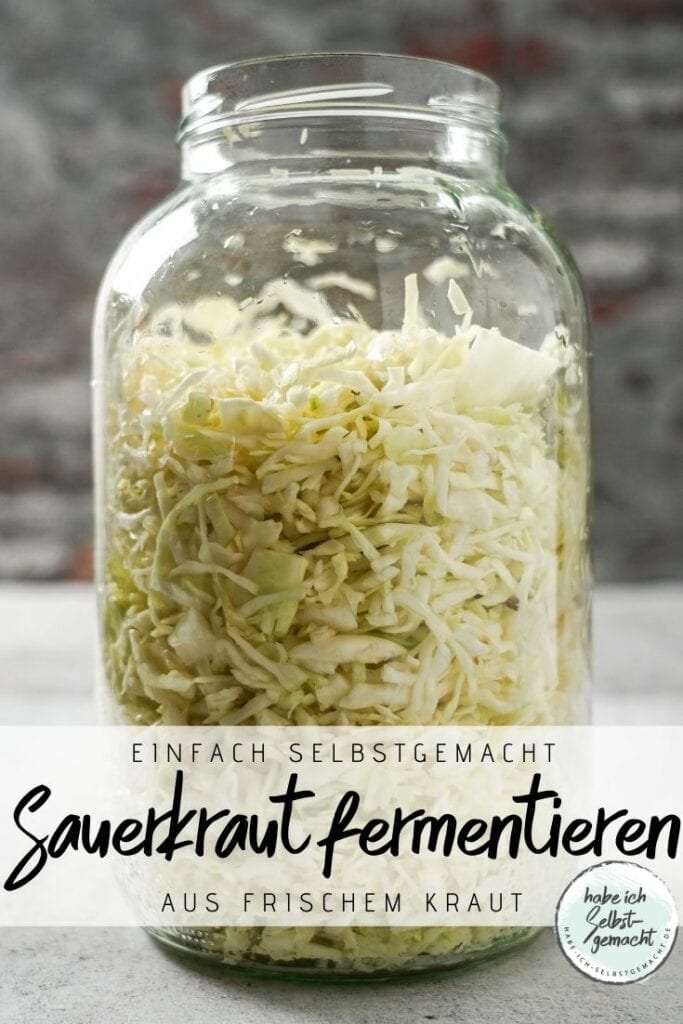 Sauerkraut fermentieren