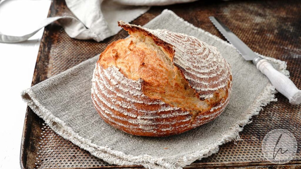 Dinkel Boule (rundes französisches Brot)