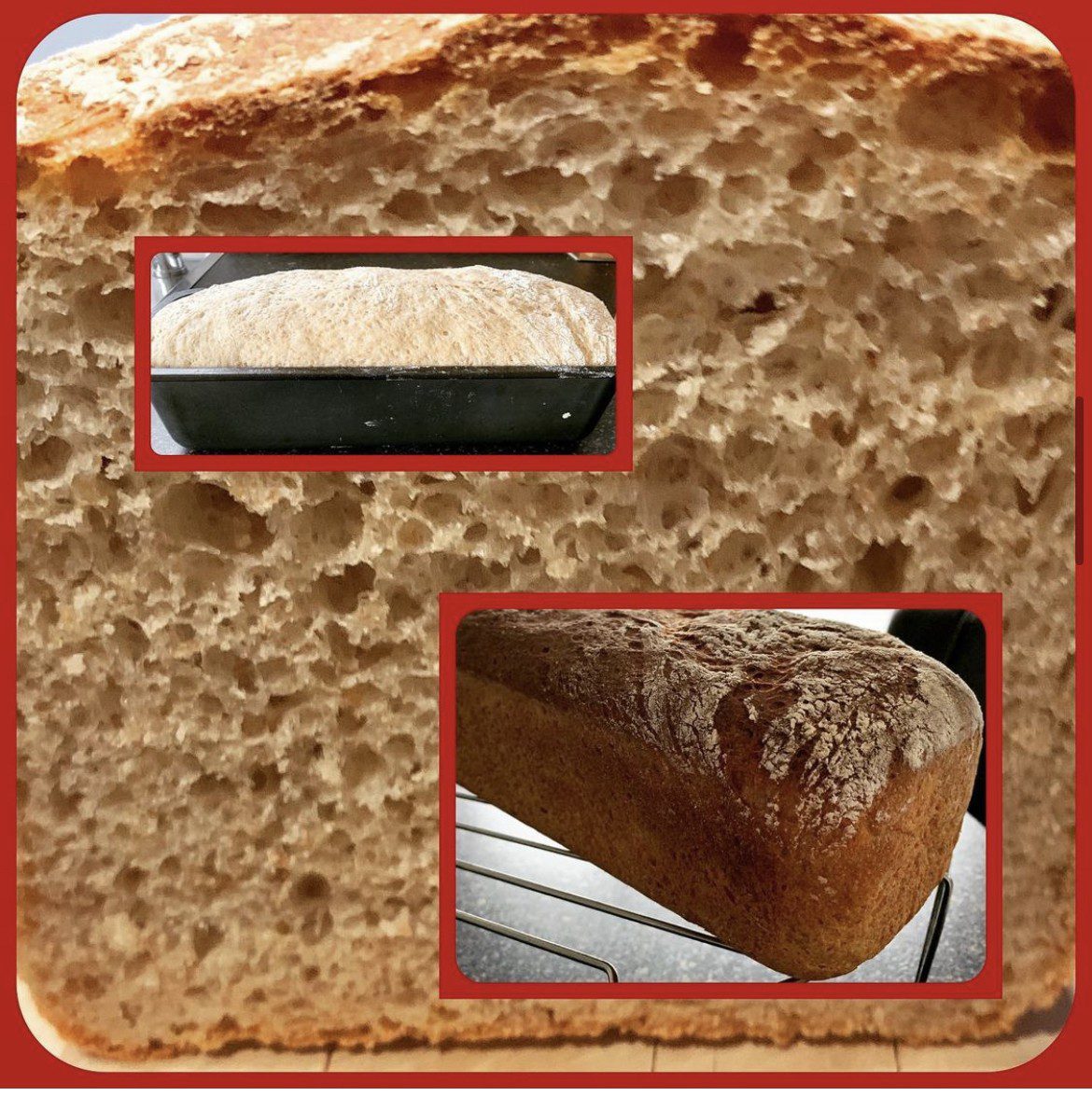 Brot #111 - Dinkel Toastbrot mit Vollkorn - Selbstgemacht - Der Foodblog