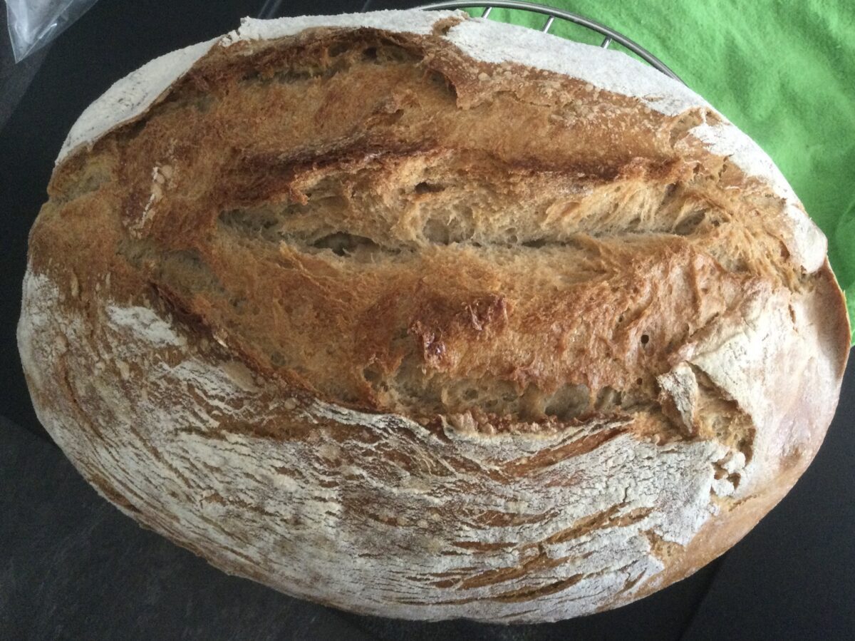 Brot #100 - Unser Hausbrot - Selbstgemacht - Der Foodblog
