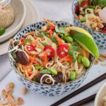 Asiasalat (Low Carb oder als Mie Nudelsalat)